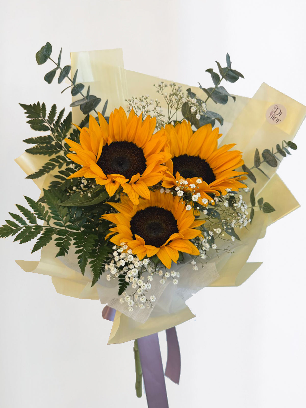 Girasoles Petite FA 2025