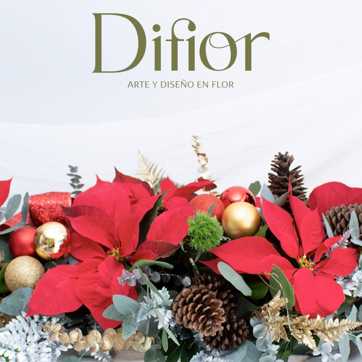 ¡Felices Fiestas Difior 2025!