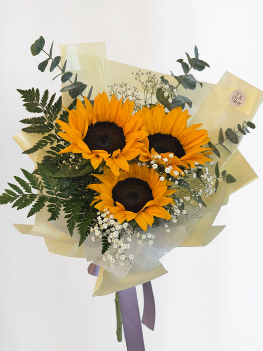 Girasoles Petite  FA 2025